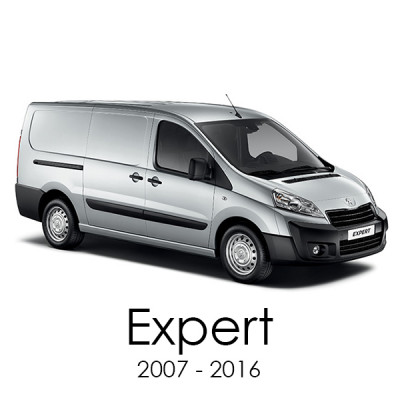 Expert 2007 - 2016