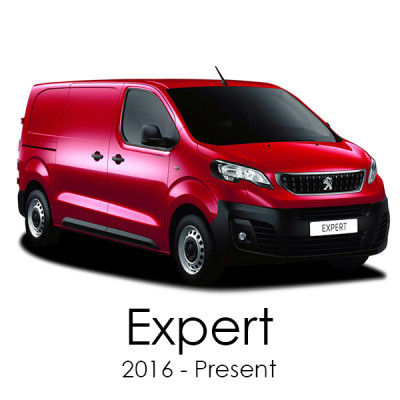 Expert 2016 - Present