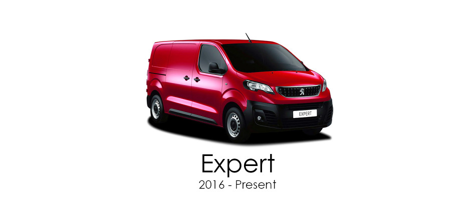 Expert 2016 - Present